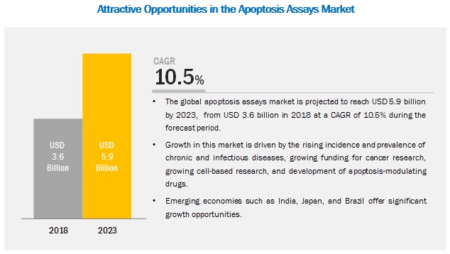 Apoptosis Assays Market