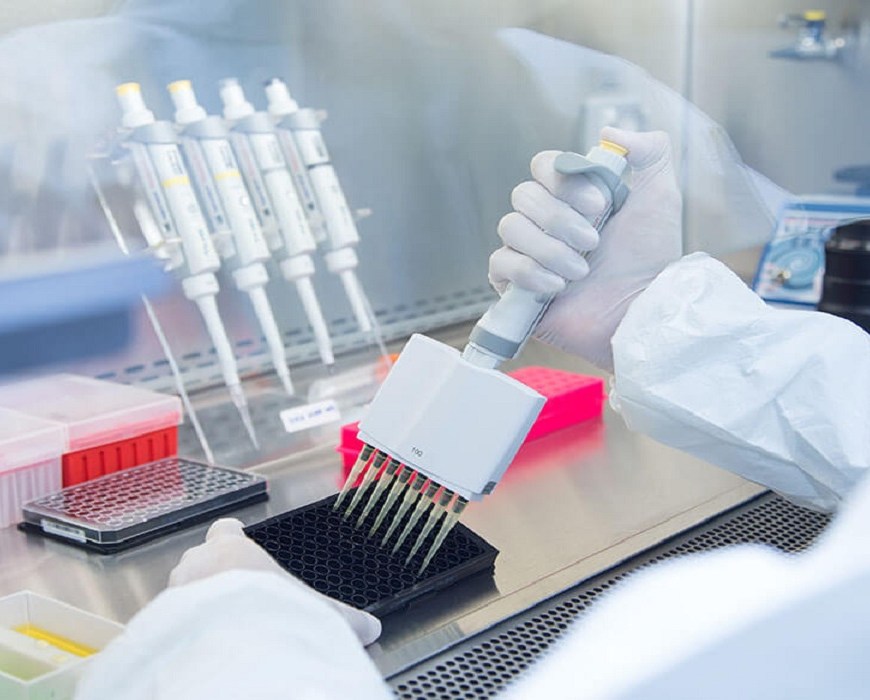 Immunoprecipitation Market