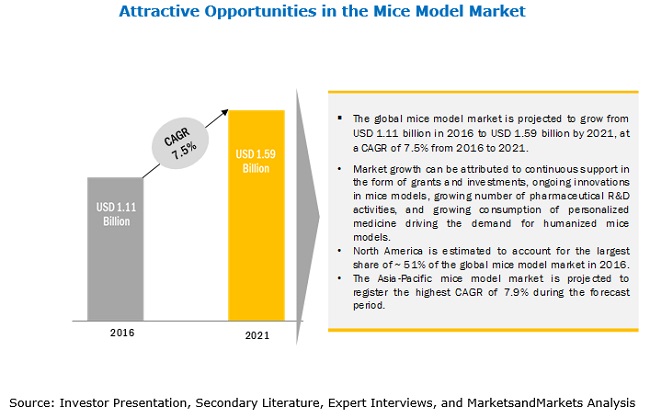 Mice Model Market