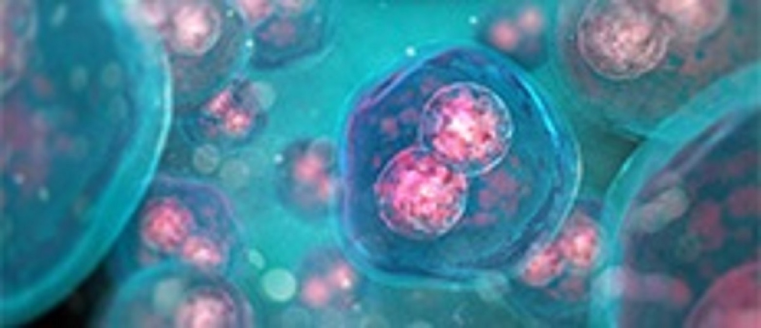 Cell Surface Markers Market: Increasing Funding for Life Sciences Research