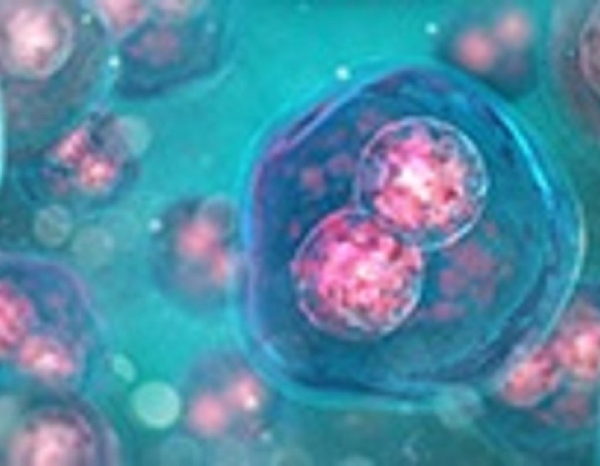 Cell Surface Markers Market: Increasing Funding for Life Sciences Research