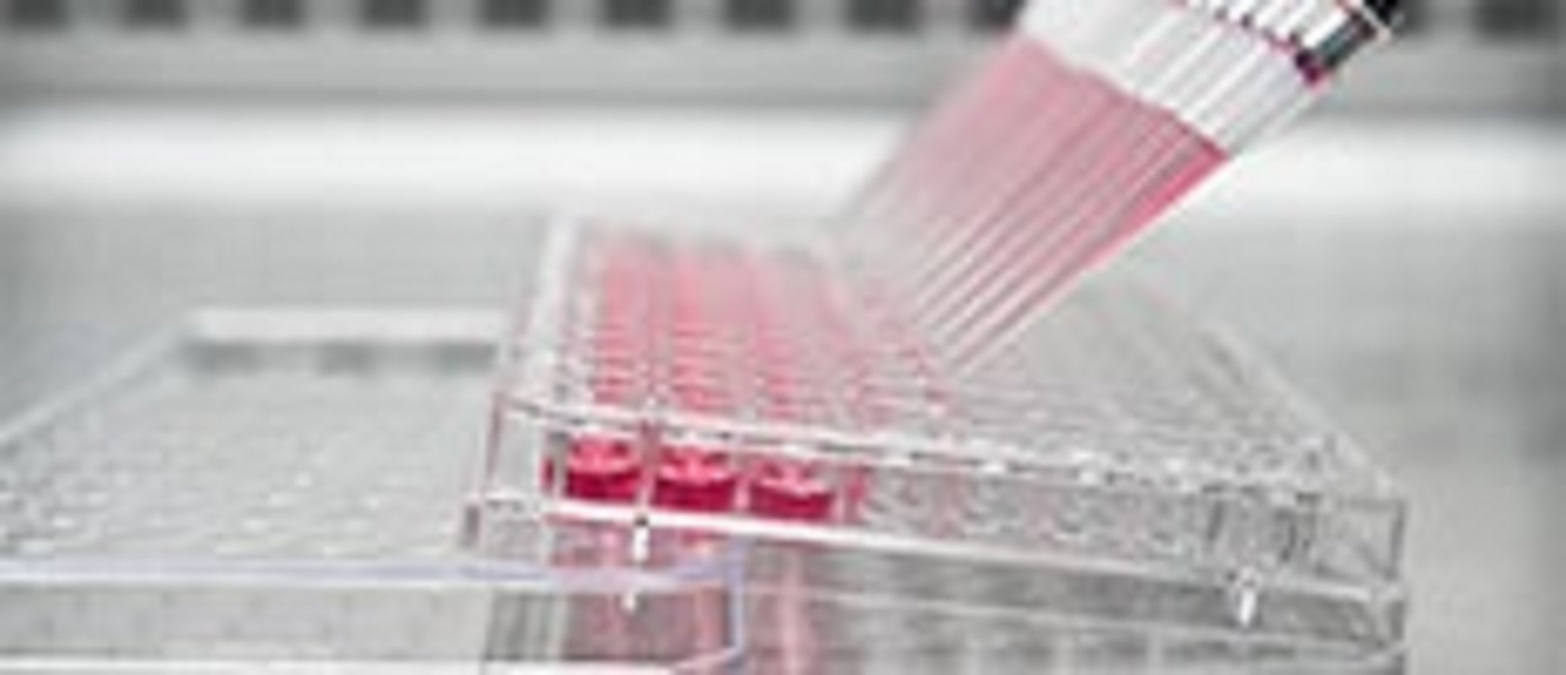 Stem Cell Assay Market