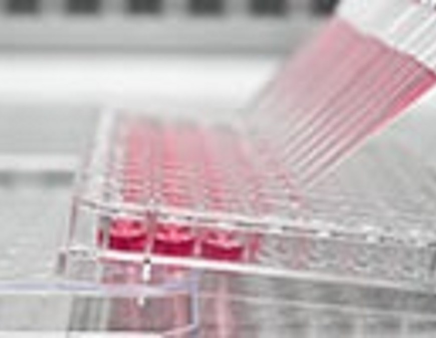 Stem Cell Assay Market