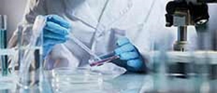 Cell Expansion Market