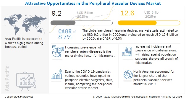 Peripheral Vascular Devices Market