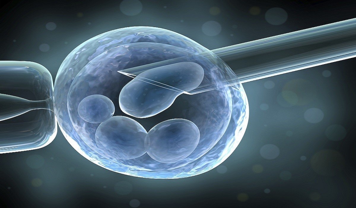 In Vitro Fertilization Market