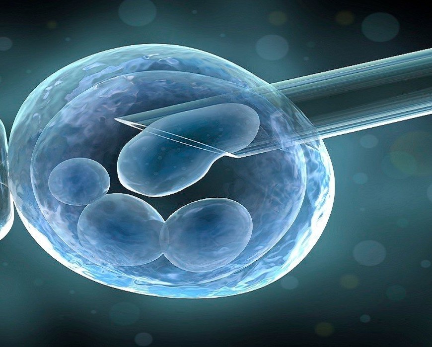 In Vitro Fertilization Market