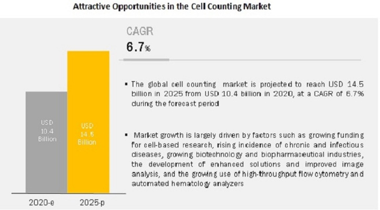 Cell Counting Market