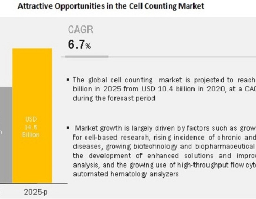 Cell Counting Market