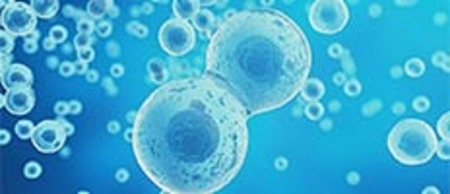 Live Cell Imaging Market