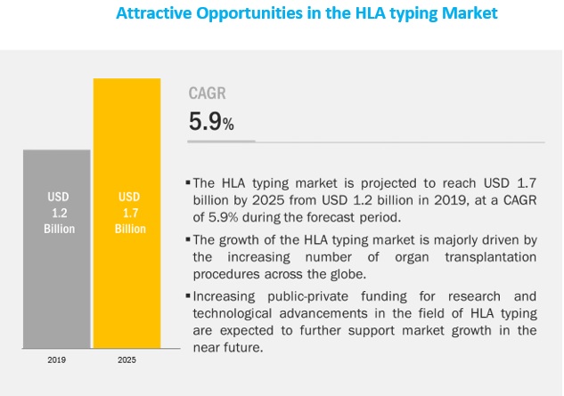 HLA Typing Market