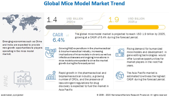 Mice Model Market