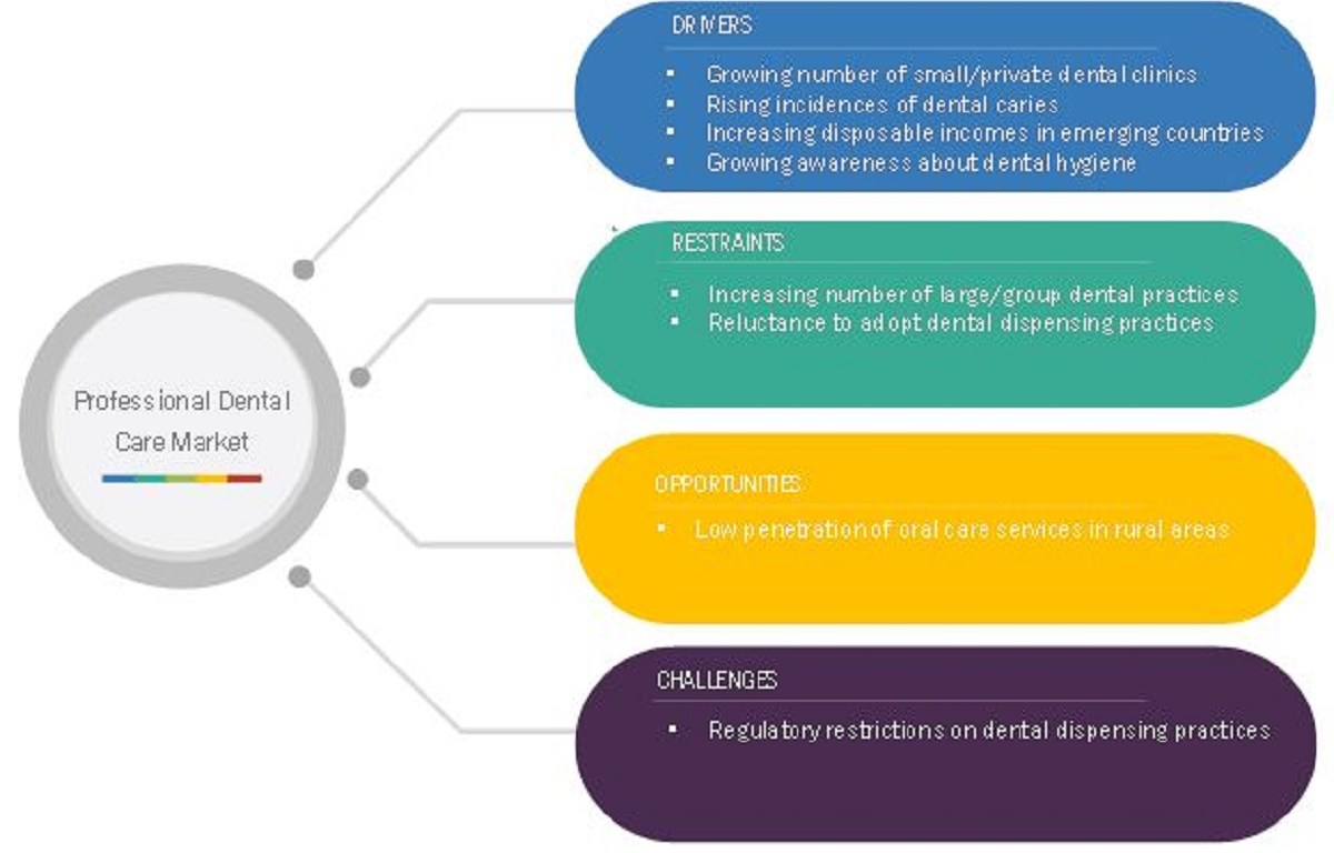 Professional Dental Care Market