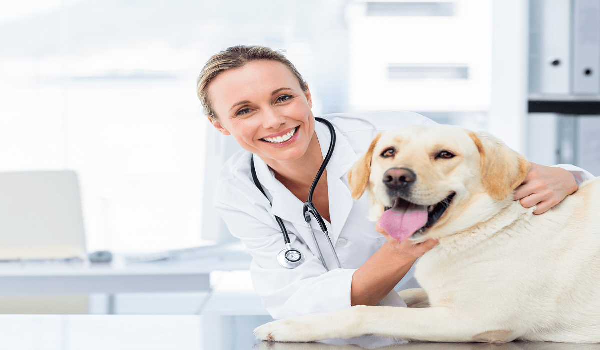 Companion Animal Diagnostics Market