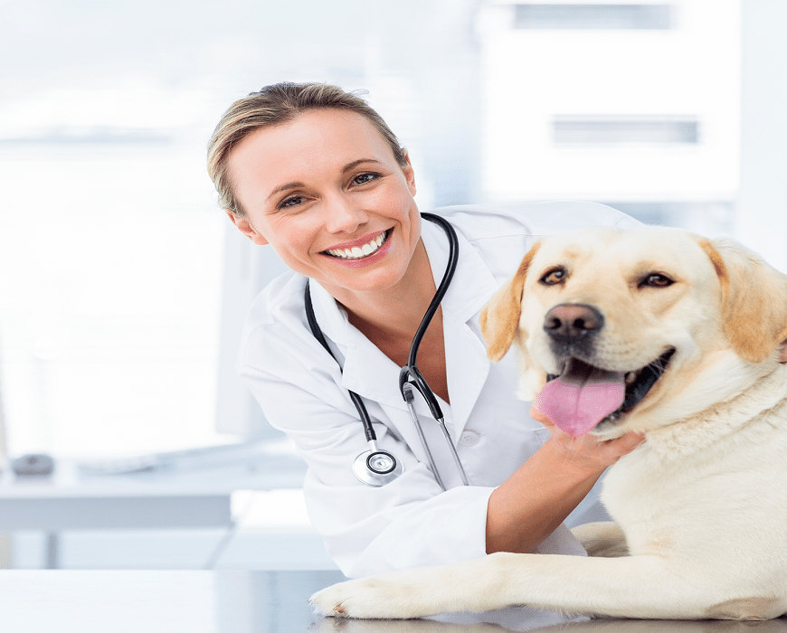 Companion Animal Diagnostics Market