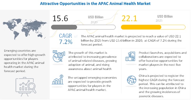 Animal Health Market