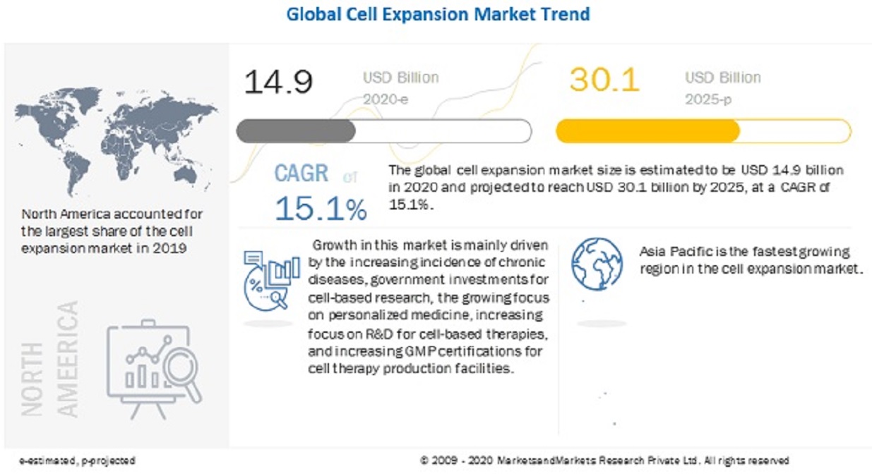 Cell Expansion Market